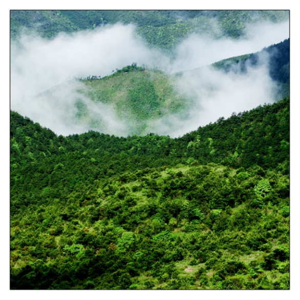 20200428/5ea77d0c20467.png image.png